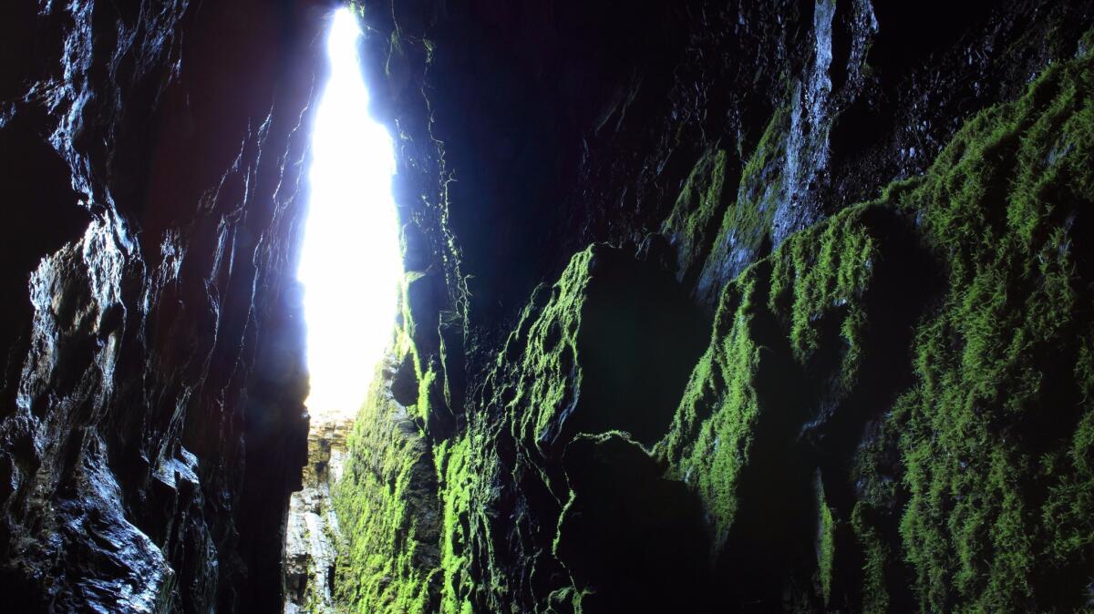 A cave in Hubei Shennongjia.