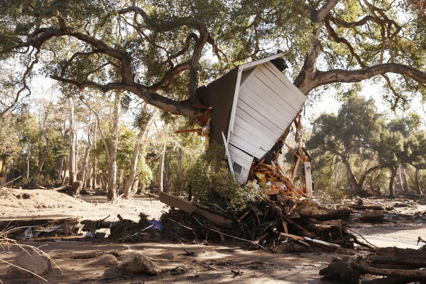 A structure sits in a tree Friday on East Valley Road in Montecito.