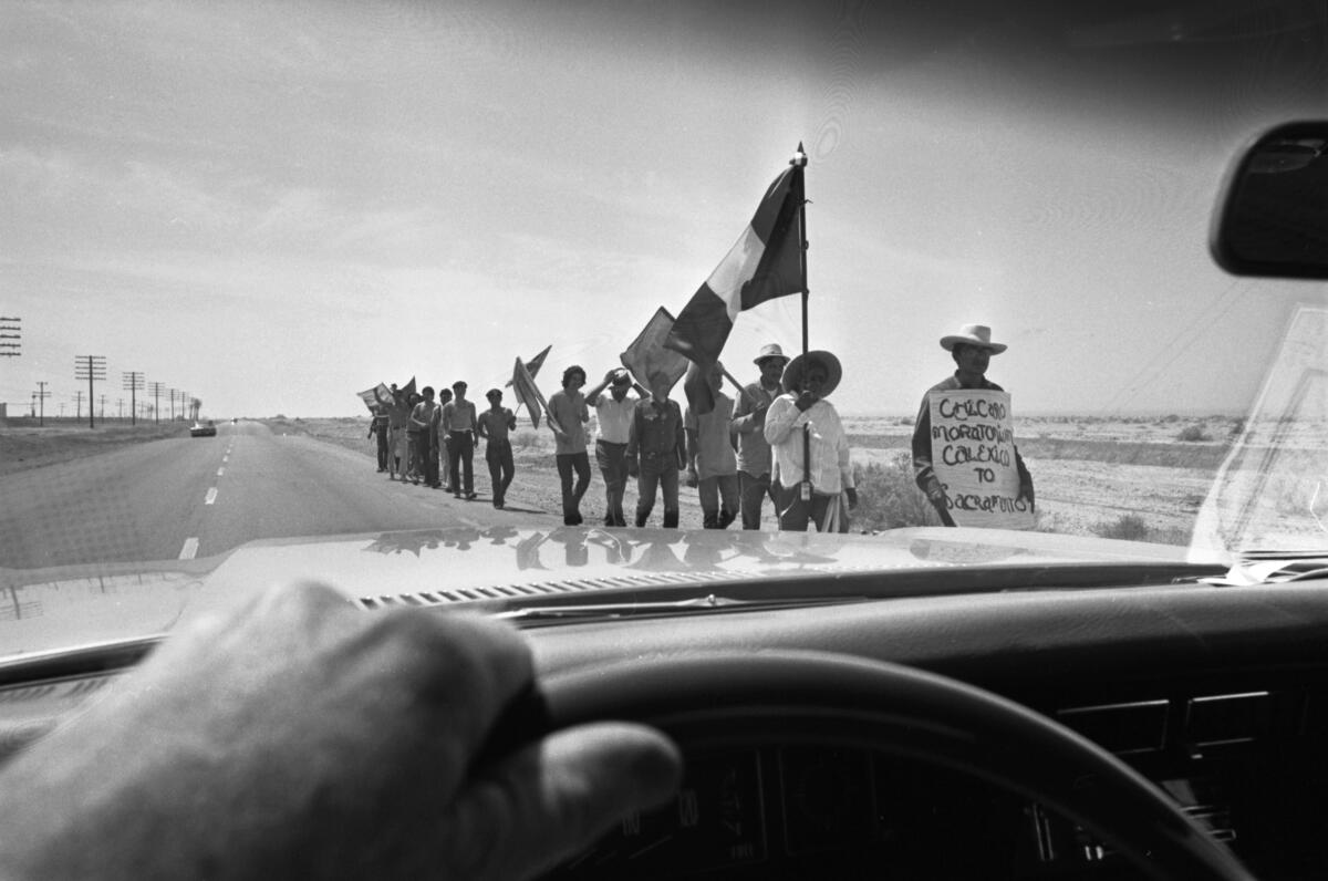 A line of people marching along a desert road with signs and flags, seen from a car driver's point of view