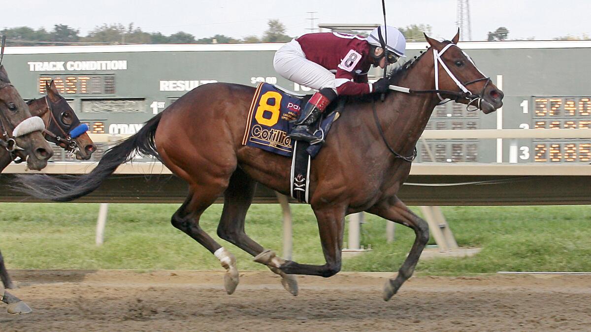 Jockey Rosie Napravnik rides Untapable to victory at the Cotillion Stakes in Bensalem, Pa., on Sept. 20.