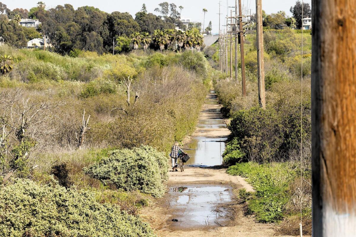 A man walks along a path in Talbert Regional Park where a proposed sewage pipeline would go. Orange County Sanitation District officials said in May that the pipeline had been effectively tabled because of escalating costs and uncertainties about boring under the Santa Ana River.