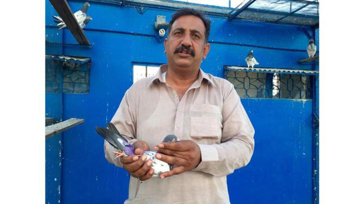 Raja Iftikhar Ahmed breeds rare pigeons on his farm in Jhelum, Pakistan.