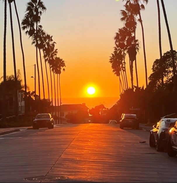 Ann Miller sunset on belvedere street.jpg