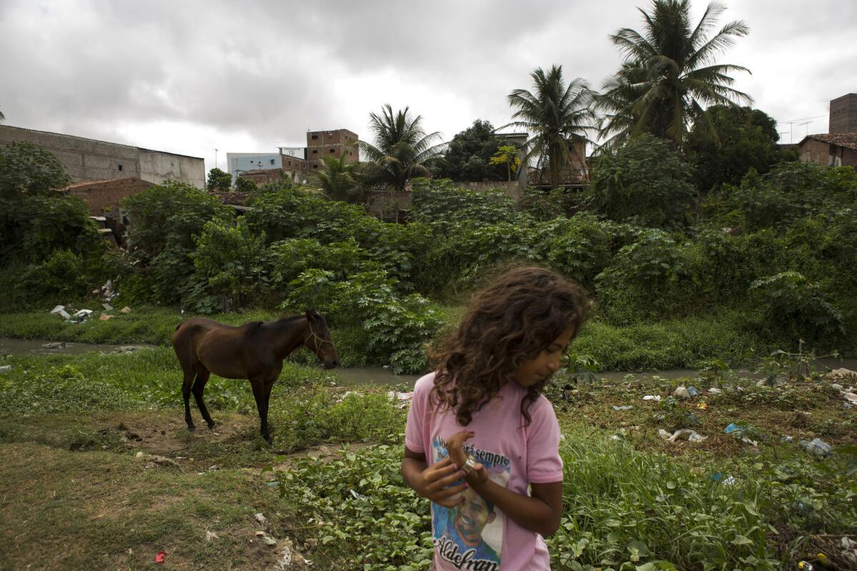 On the edge of a maze of crumbling brick homes in Campina Grande, a drainage canal is clogged with garbage.