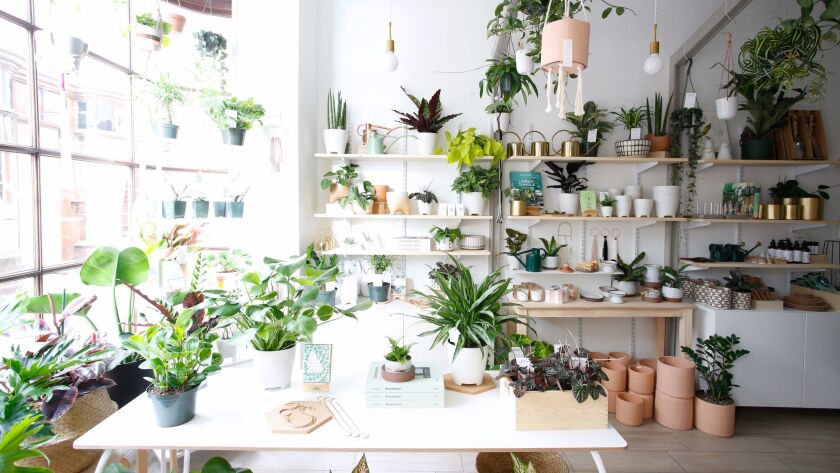A New Pasadena Boutique Is Dedicated To Nothing But Indoor