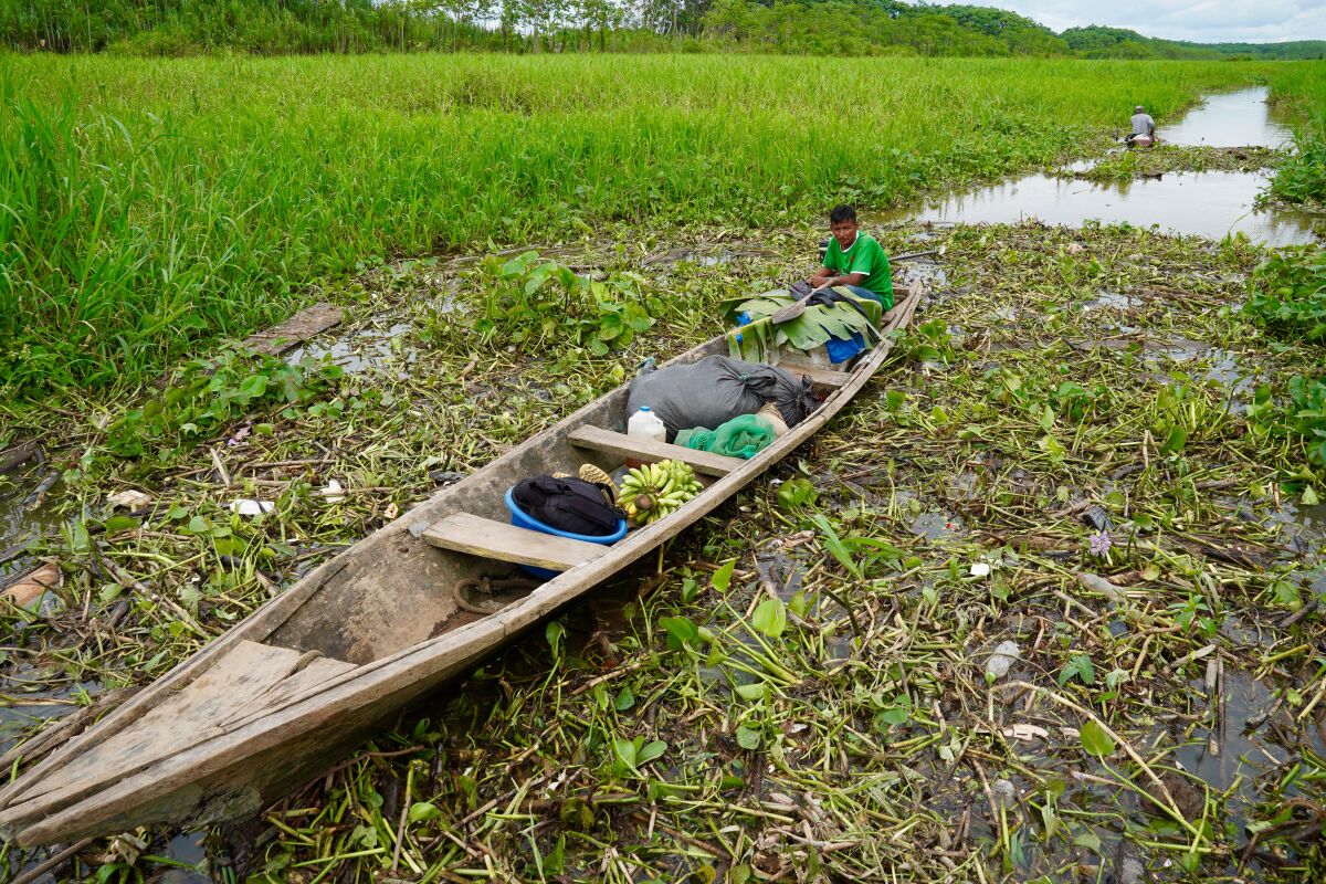 Man in canoe in Peru