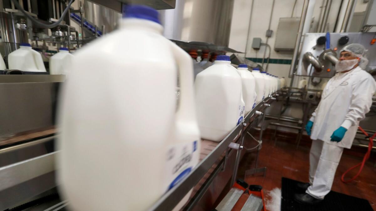Milk production at the Clover Sonoma dairy plant in Petaluma. The company's products have certifications for humane treatment of animals and sustainable practices.