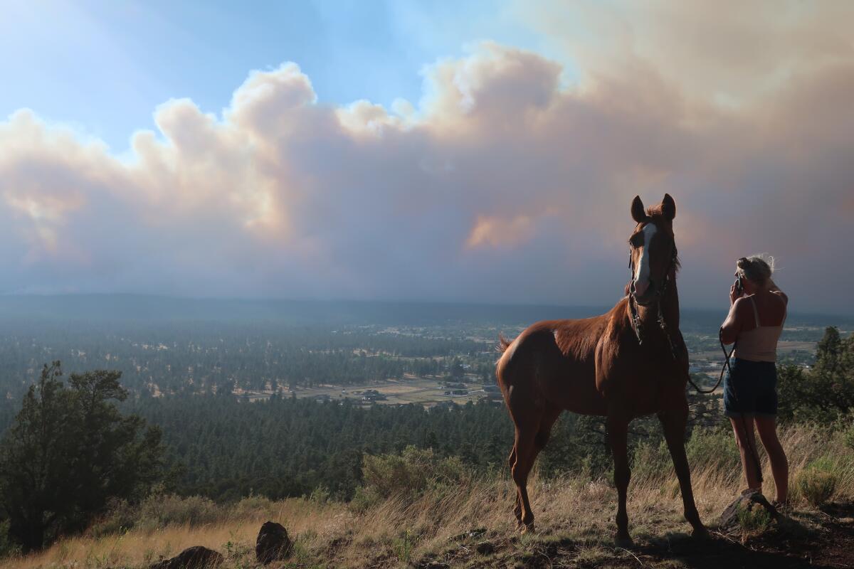 A woman and a horse stand on a ridge overlooking clouds of smoke
