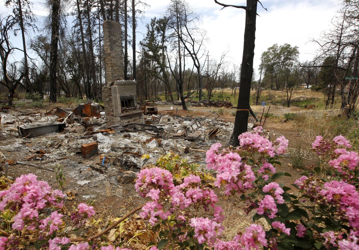 FILE - In this Aug. 21, 2019, file photo, flowers brighten the burned out remains of a home destroyed by the previous year's Camp Fire, in Paradise, Calif. Pacific Gas & Electric has agreed to extend by two months the deadline to file claims against the company for damages suffered from a series of wildfires in California. (AP Photo/Rich Pedroncelli, File)