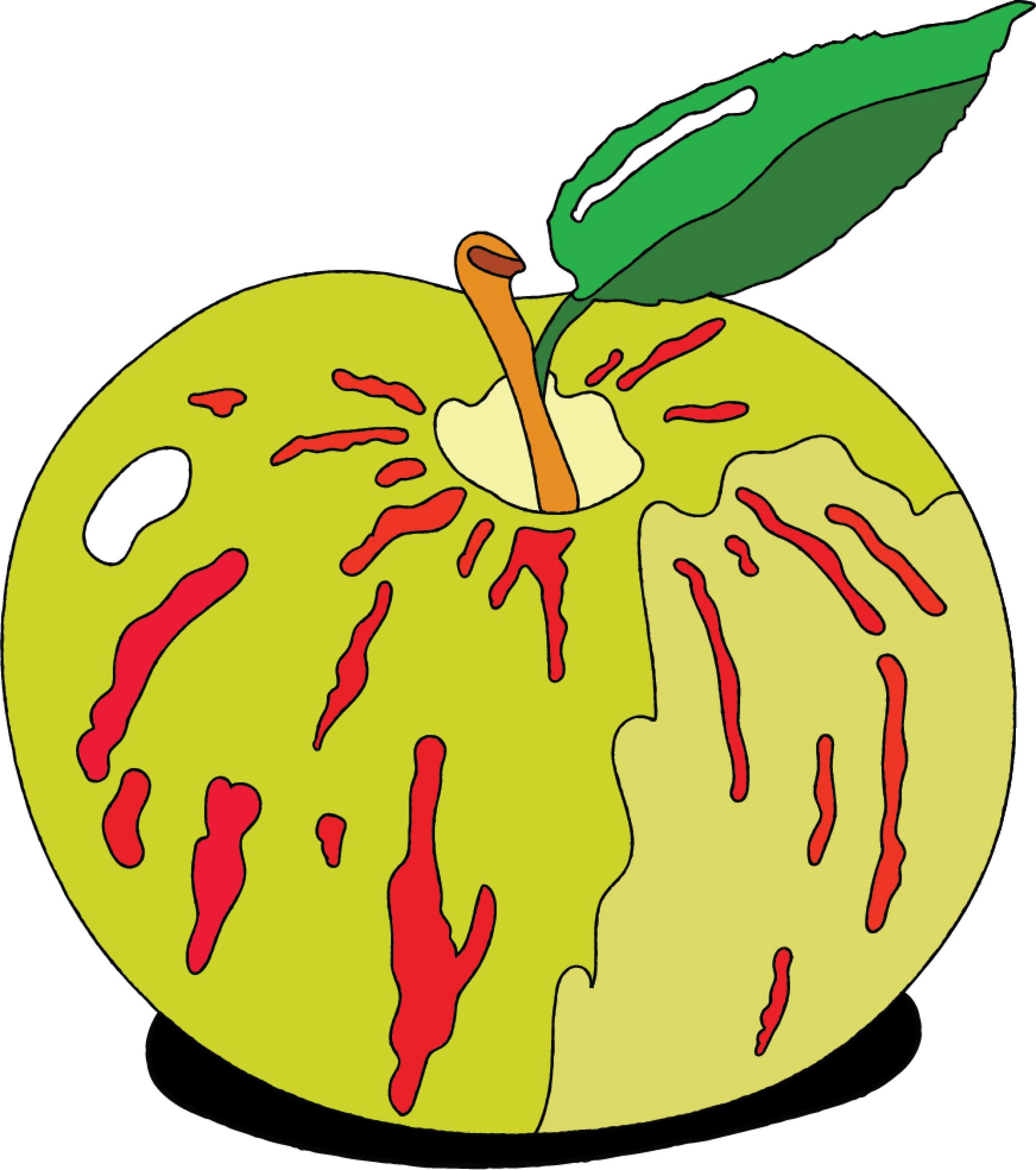 An illustration of an apple