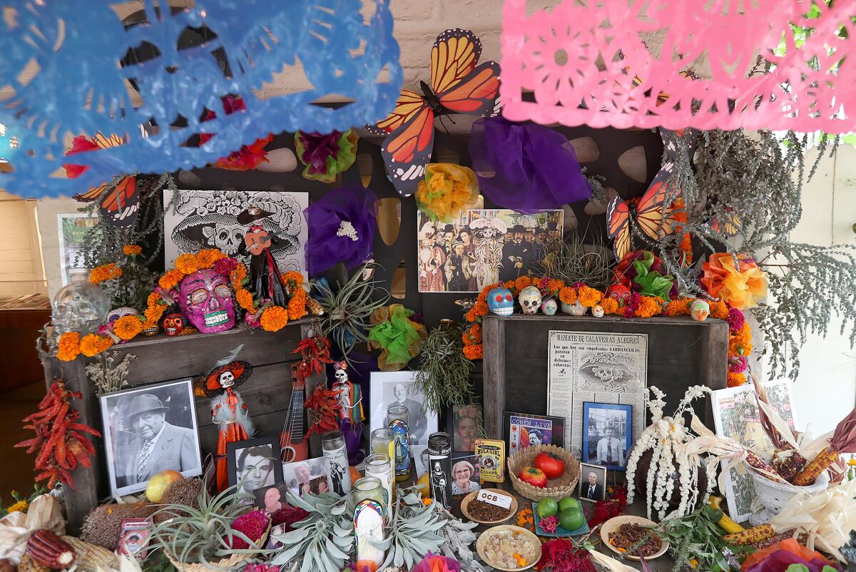 The altar is filled with orange marigolds, old photographs, and figurines of mariachis.