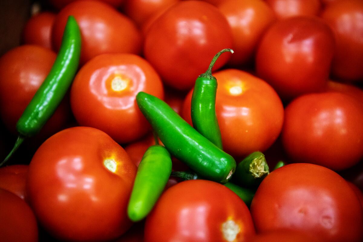 A closeup of a pile of tomatoes and small green peppers.