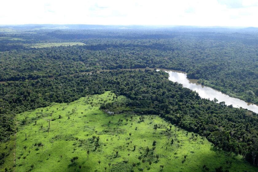 Deforestation in Brazil's Amazon rain forests reduces the land to grass.