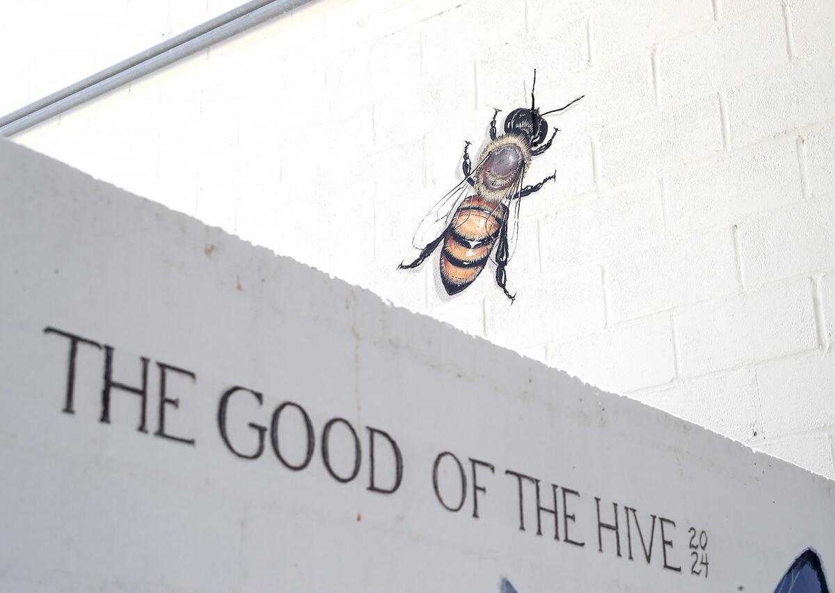 A detail of the bee mural, "The Good of the Hive," by artist Matt Willey, in front of the Laguna Beach County Water District.