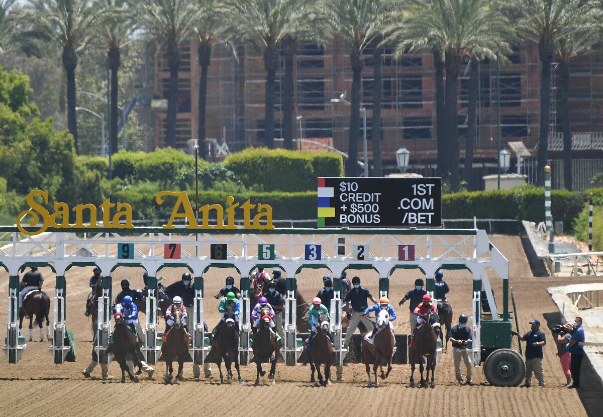 Horses break from the gate May 23, 2020, at Santa Anita.