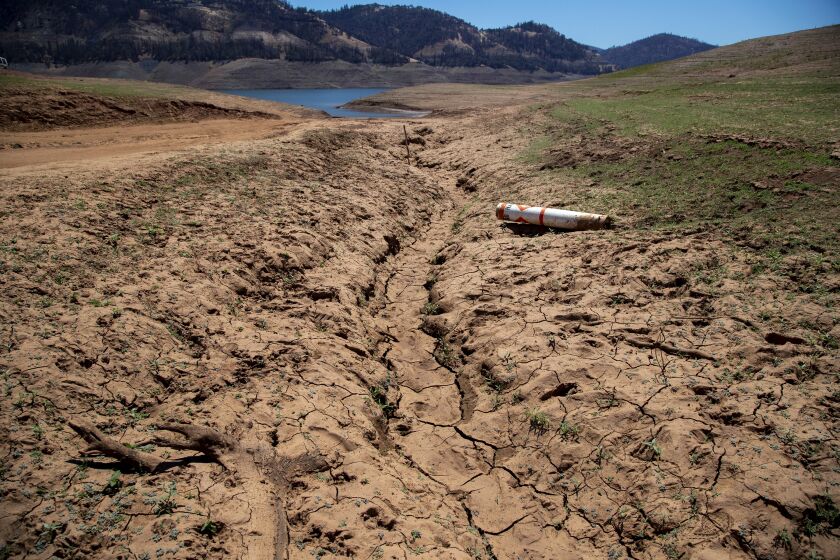 OROVILLE, CA - JUNE 29: Dried mud and a stranded buoy on the lakebed at Lake Oroville, which stands at 33 percent full and 40 percent of historical average when this photograph was taken on Tuesday, June 29, 2021 in Oroville, CA. (Brian van der Brug / Los Angeles Times)