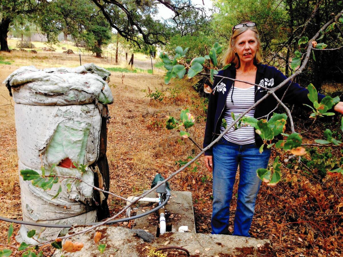 Rochelle Landers, 57, of Bangor, Calif., stands next to the "spring box" well on her one-acre property. Her well dried up a month and a half ago, requiring her to commute to obtain water for everyday tasks.