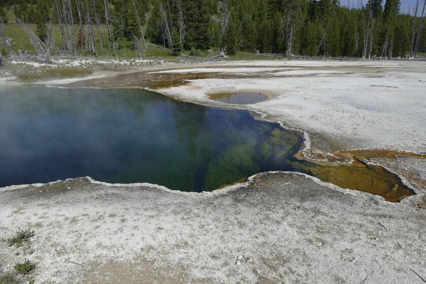 FILE - In this photo provided by the National Park Service is the Abyss Pool hot spring in the southern part of Yellowstone National Park, Wyo., in June 2015. Part of a human foot found in a shoe floating in a hot spring in Yellowstone National Park earlier this year belonged to a 70-year-old man from Los Angeles who died in July, park officials said Thursday, Nov. 17, 2022. They said they don't suspect foul play in the man's death but also didn't provide any more details. (Diane Renkin/National Park Service via AP, File)