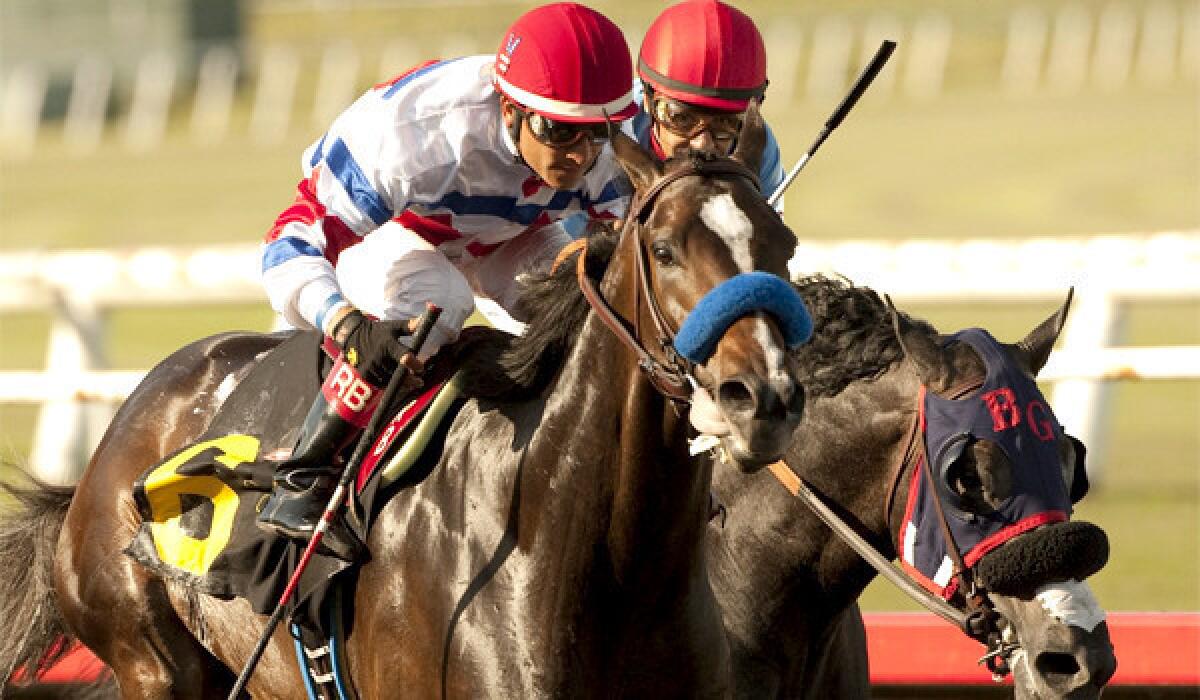 Donald R. Dizney's Surfcup and jockey Rafael Bejarano, left, hold off Fighting Hussar with jockey Victor Espinoza, right, to win the $300,000 Snow Chief Stakes horse race at Betfair Hollywood Park on Saturday.