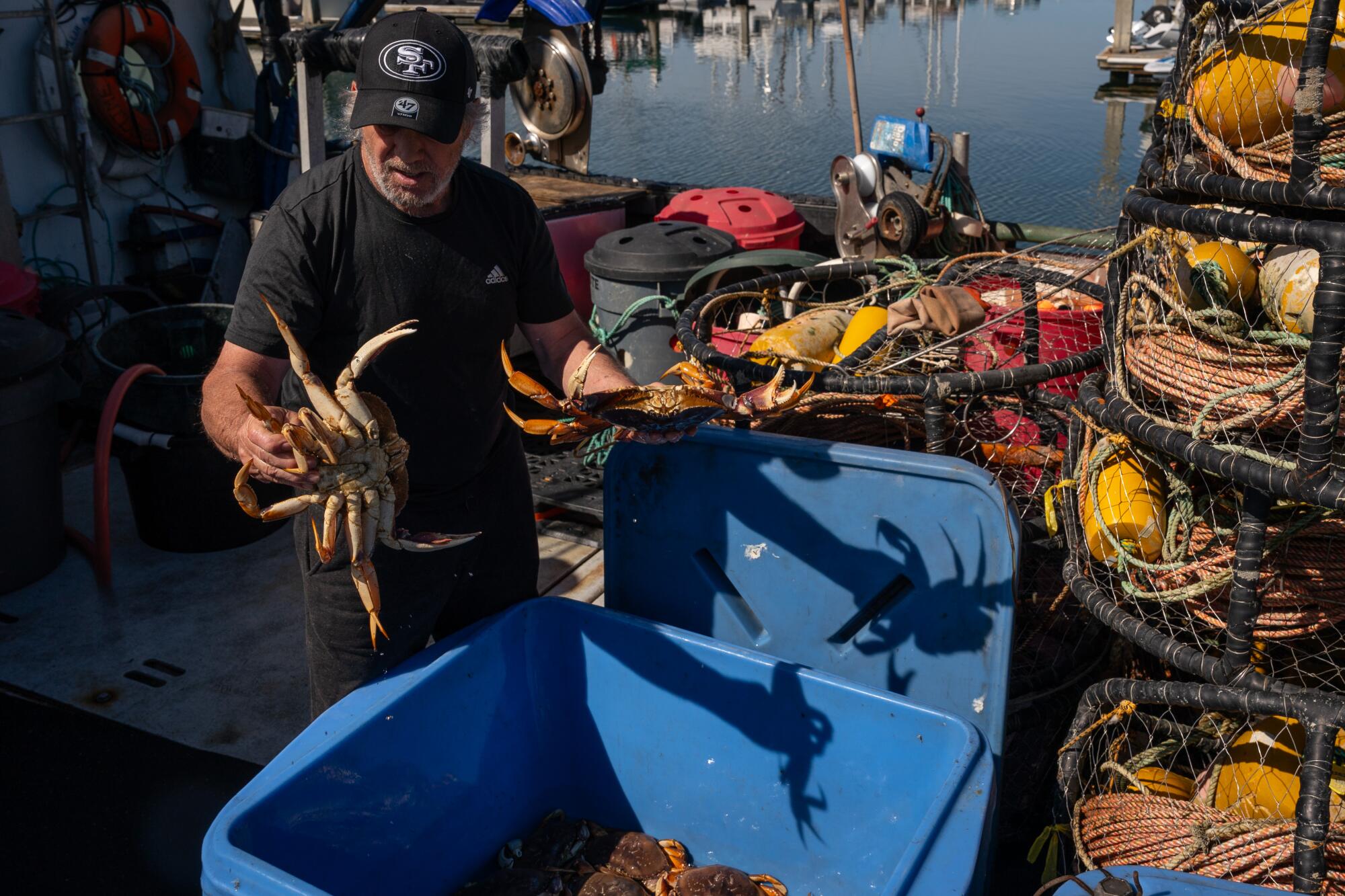 Commercial fisherman Chris Pedersen handles Dungeness crab over a container of them at Pillar Point Harbor.
