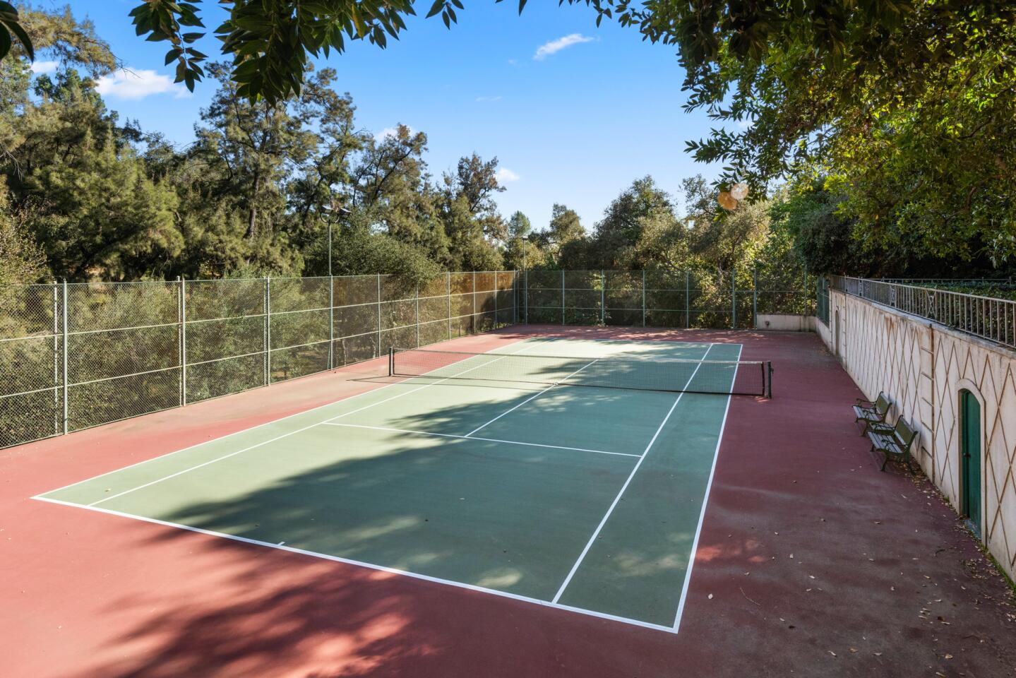 The tennis court surrounded by trees