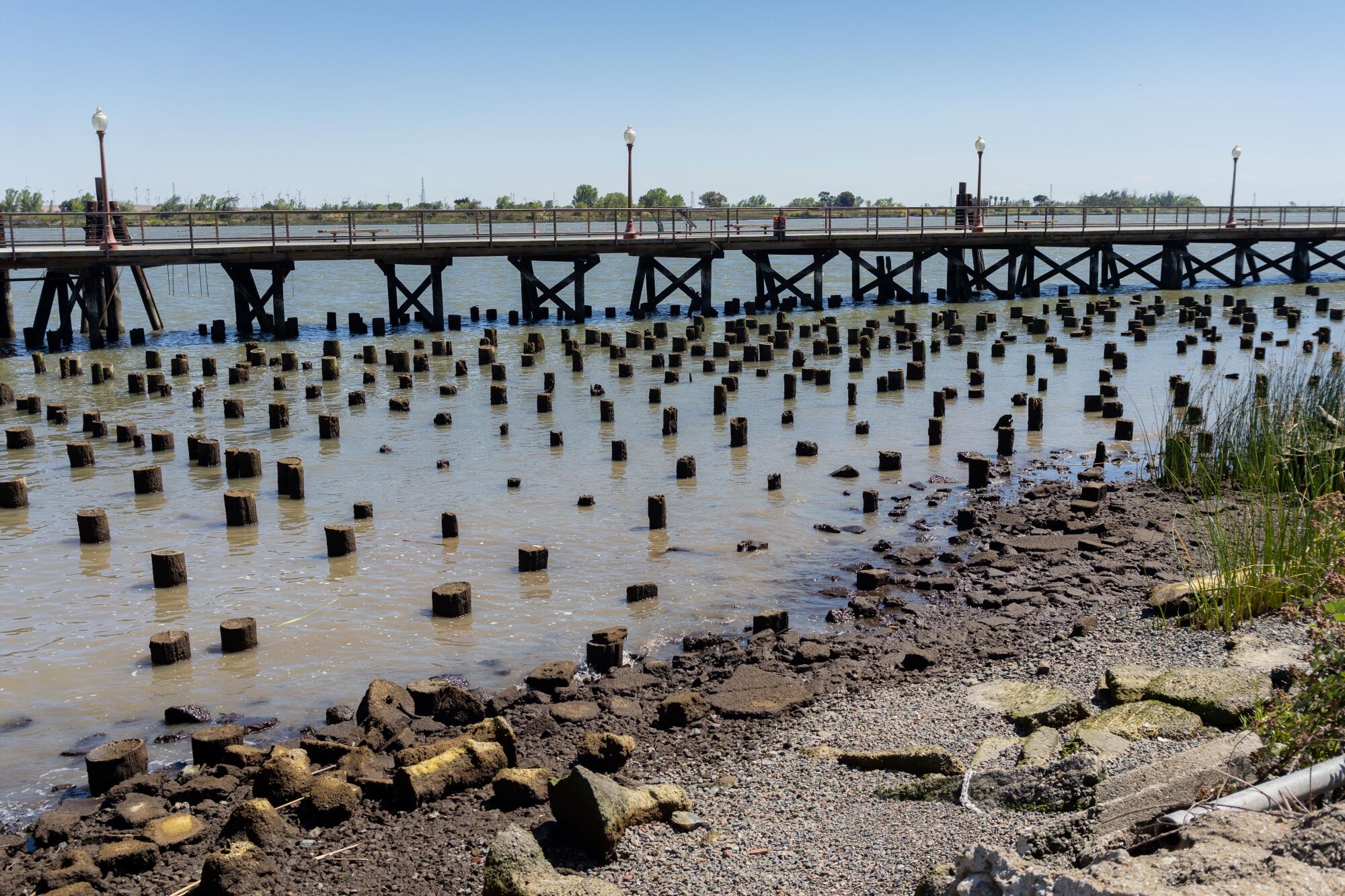 The waterfront of the former Chinatown in Antioch includes the remains of the original residential foundations.