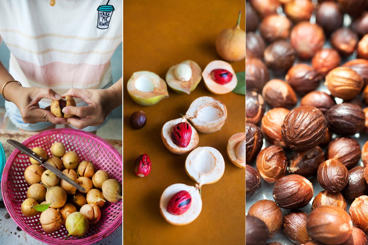 Nutmeg fruit and seeds