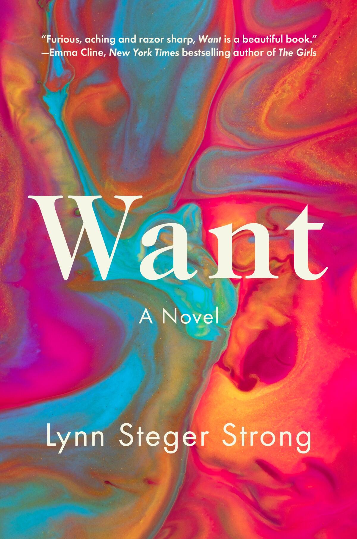 A book jacket for Lynn Steger Strong's "Want."
