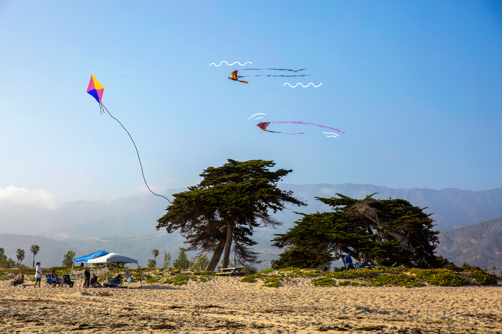 Kites fly along the shore at Carpenteria State Beach on Sunday, May 9, 2021 in Pasadena, CA.