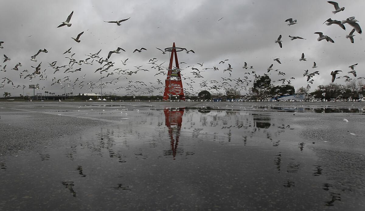 Anaheim is hoping the team develops the parking lot at Anaheim Stadium.