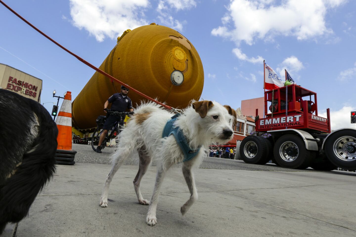 Kirby the dog appears to be escorting ET-94, NASA's last remaining space shuttle external tank, which is traveling on Manchester Avenue in Inglewood on its way to the California Science Center.