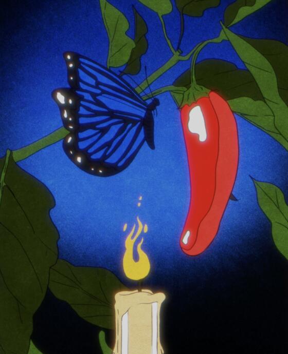 Illustration of a candle, chile pepper and butterfly 
