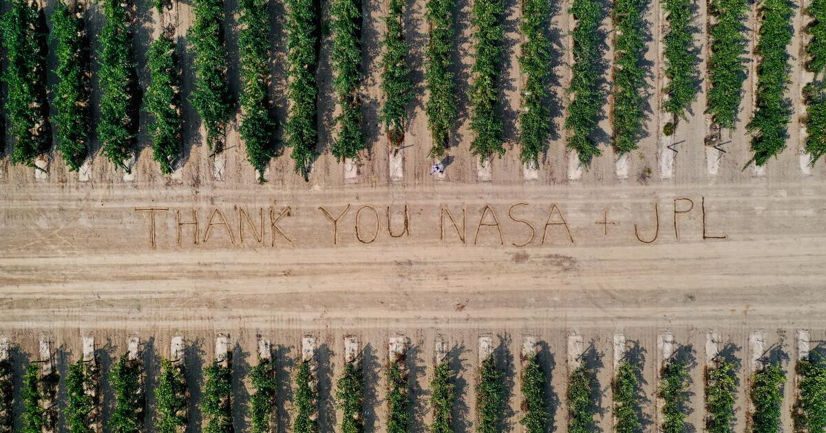 NASA teknolojisi, Kaliforniya şarap imalathanelerini mahvedebilecek virüsün tespit edilmesine yardımcı oluyor
