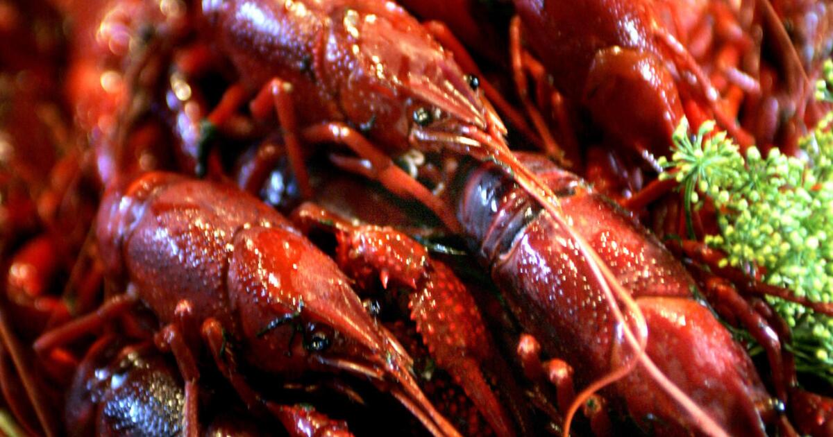 Louisiana Crawfish Boil - Barefeet in the Kitchen