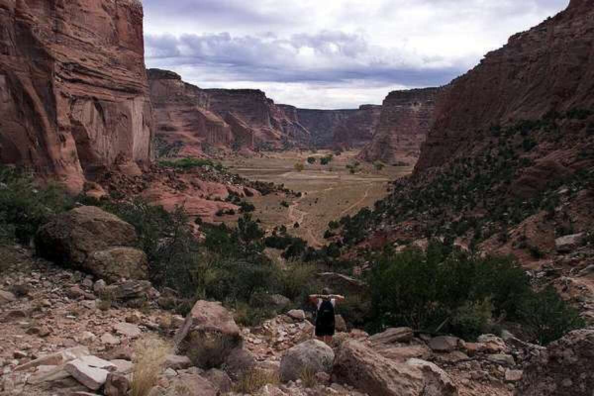 Canyon del Muerto, part of Canyon de Chelly National Monument, New Mexico.
