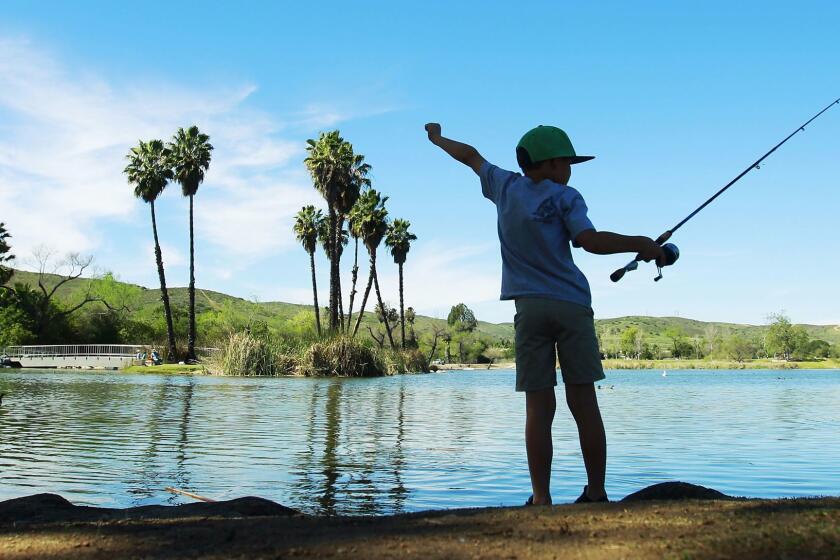 March 13, 2015_San Diego, CA_USA_ | Brenner Lynn, 6, finds a shady place to fish on a hot afternoon at Santee Lakes Regional Park on Friday. | Brenner was there with his brother Ryder, 9, and grandpa Jerry Lynn. _Mandatory Photo Credit: Photo by K.C. Alfred/UT San Diego/Copyright 2015
