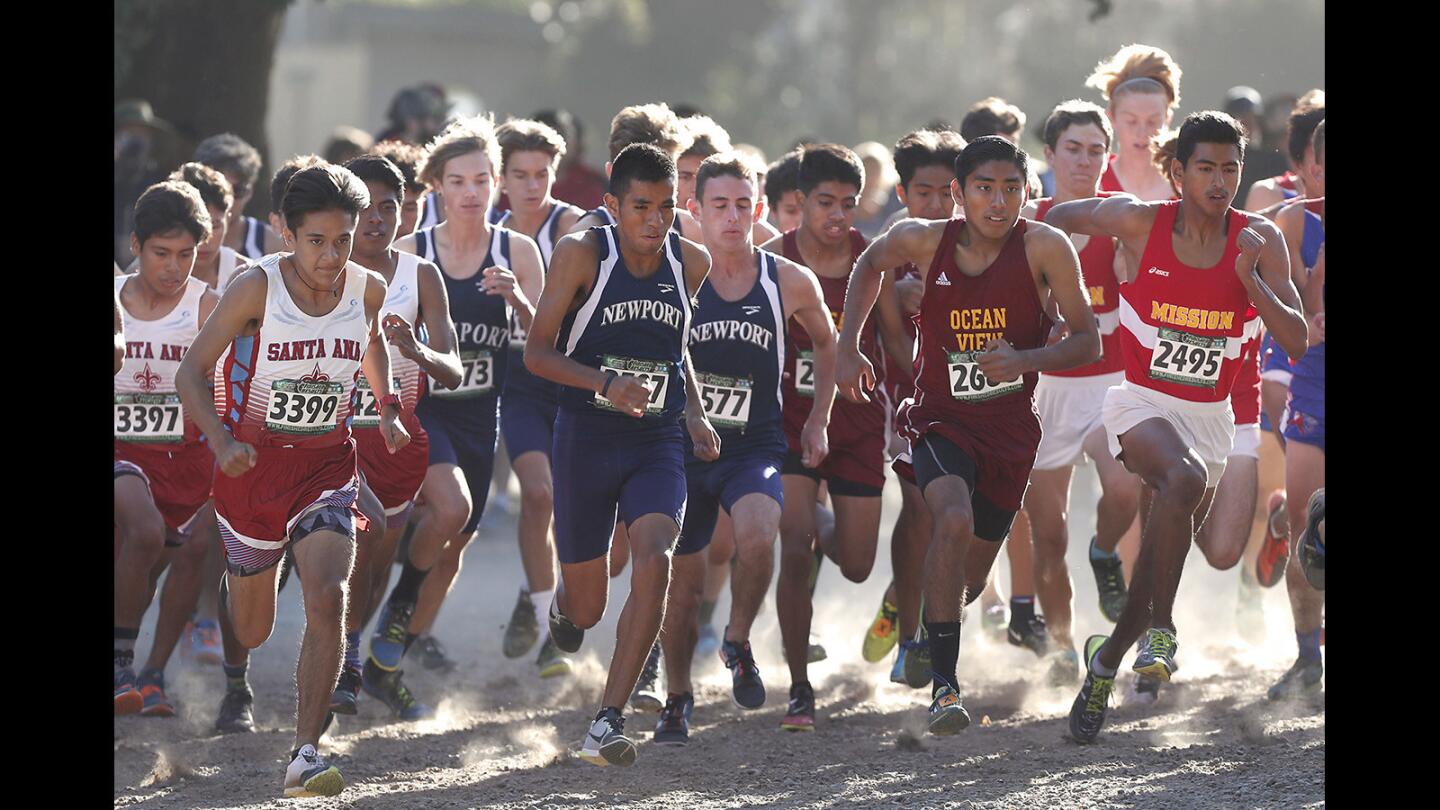 Newport and Ocean View standouts Alexis Garcia, 2587, and Edwin Montes, 2688, take off from the starting line in pack the pack during the Boy's Sweepstakes race in the Orange County Cross Country Championships at Oak Canyon Park on Saturday.