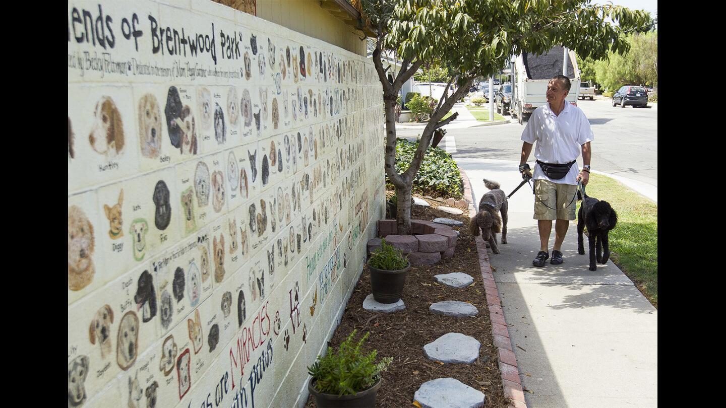 Photo Gallery: Friends of Brentwood Park dog wall