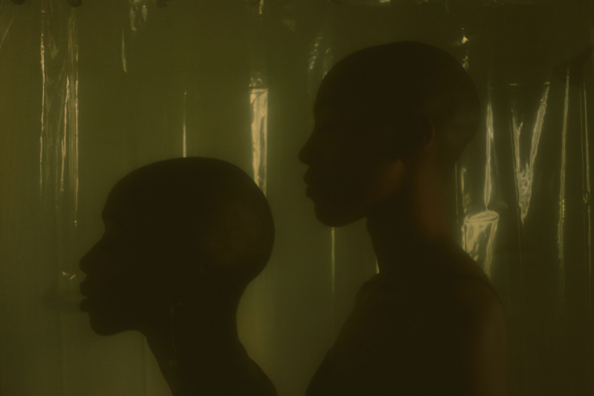 A photo of two women's silhouettes against a dark green backdrop.