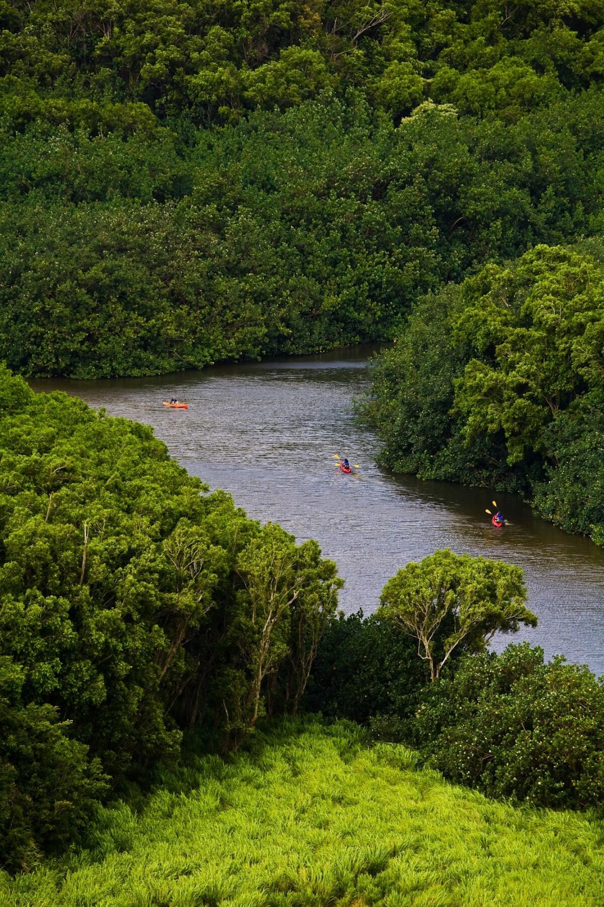The Wailea River, Hawaii's longest, provides excellent opportunities for canoeing and kayaking.
