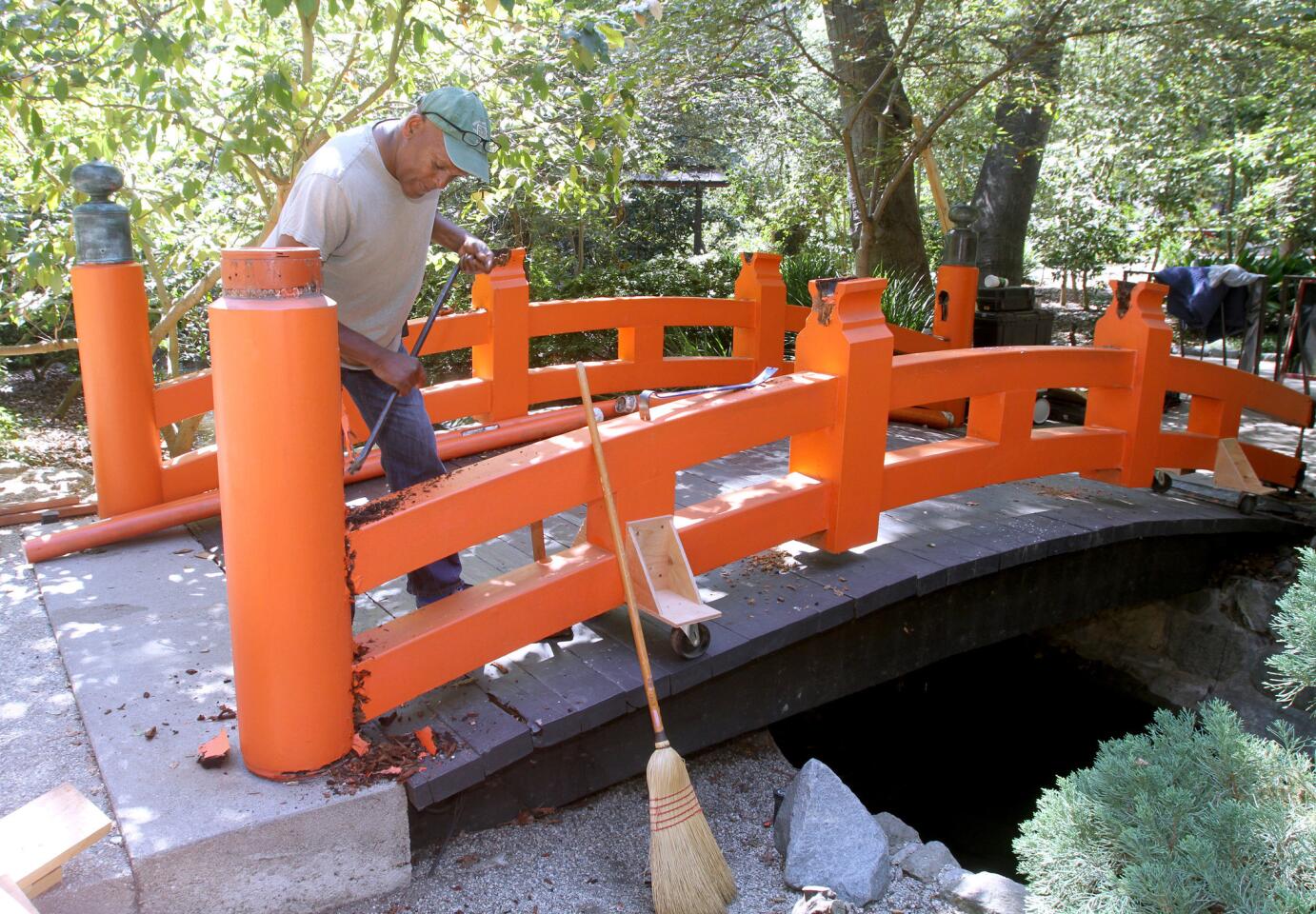 Custom furniture designer Harold Greene removes the Japanese Garden bridge at Descanso Gardens for a complete restoration of the bridge, in La Cañada Flintridge on Thursday, September 8, 2016. The bridge will be restored with the aid of historical resources to original specifications and color. The Japanese Garden opened in 1966 and the bridge was added in 1968. The restoration will be complete in about one month, in time for the 50th anniversary of the Japanese Garden.