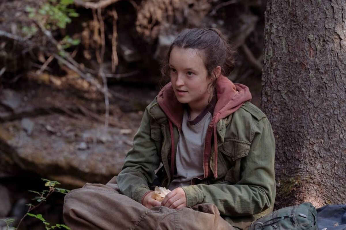 A young brunette girl wearing a jacket and sitting in front of a tree trunk in a forest