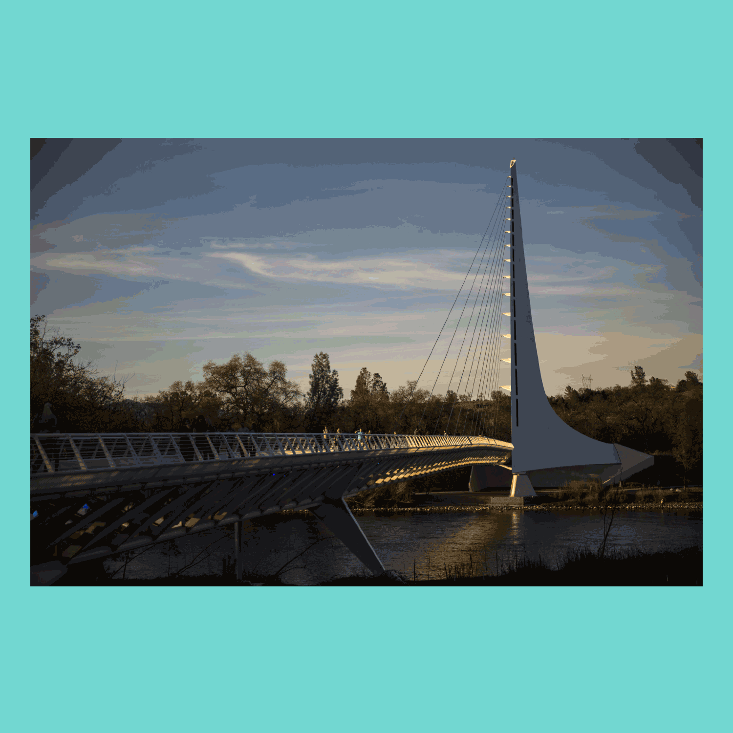 Photo of Sundial Bridge at Turtle Bay in Redding and Joan Schipper's photos from below.