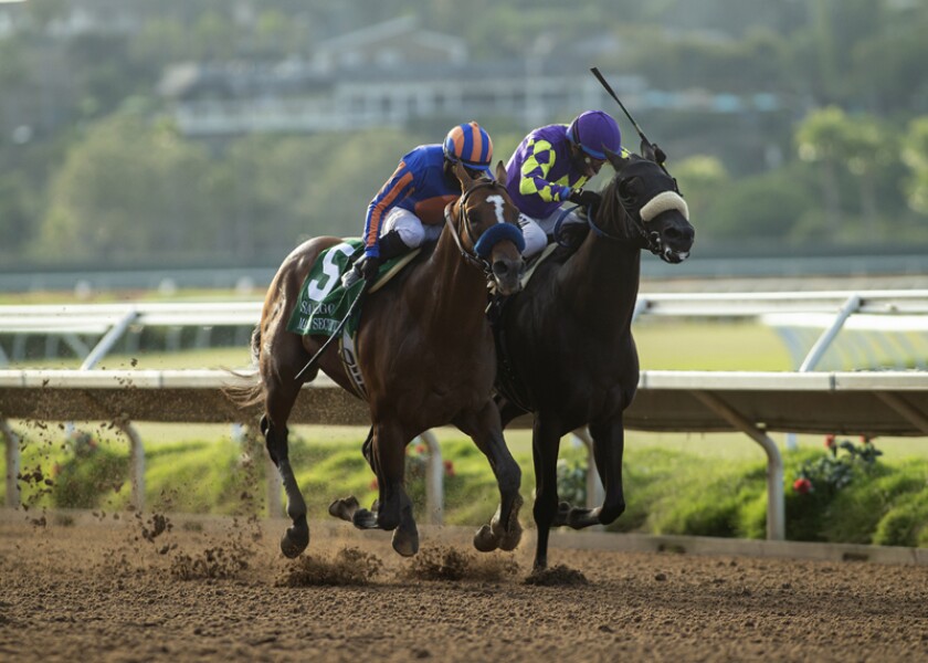 Country House Wins Kentucky Derby After Maximum Security Disqualified