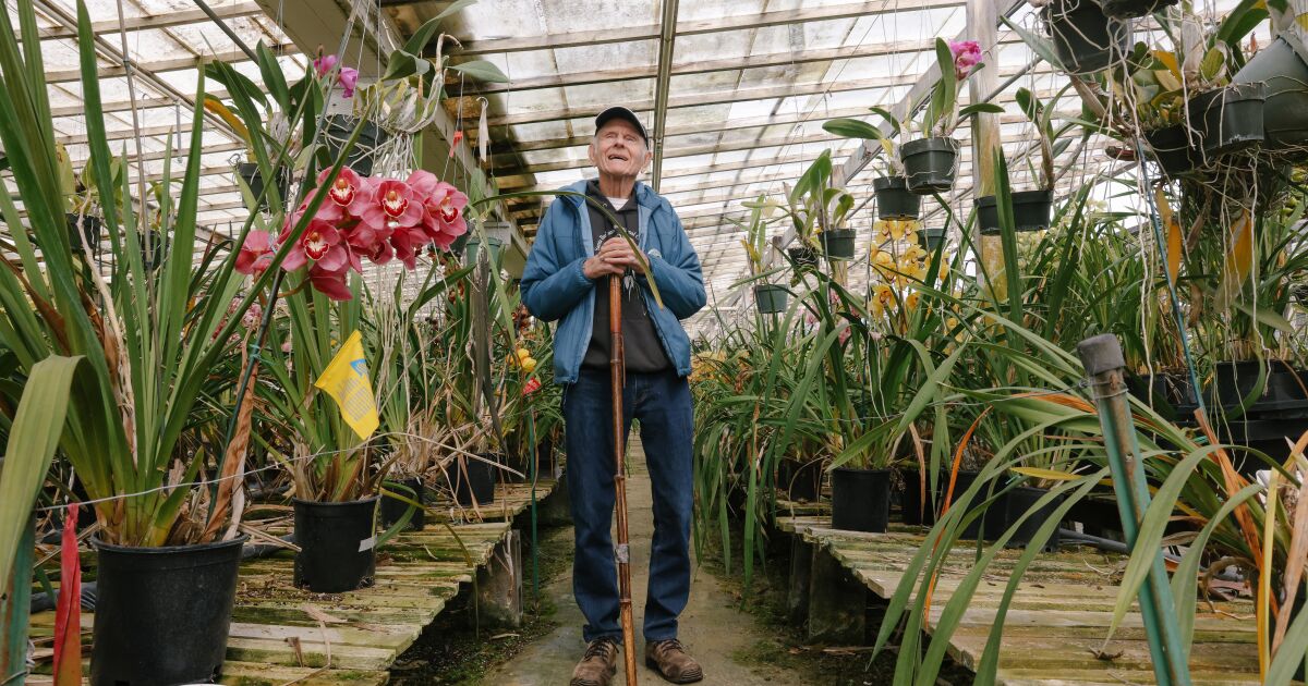 This fabled orchid breeder loves to chat — just not about Trader Joe’s orchids