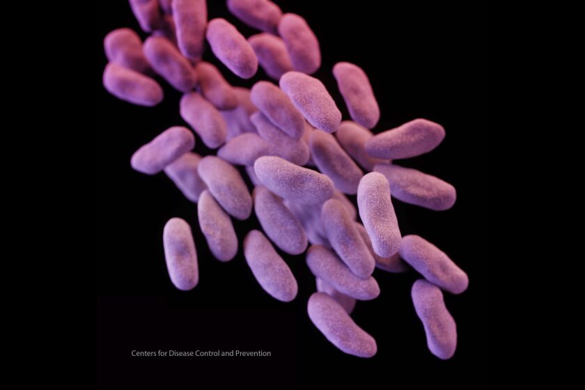 Medical illustration of carbapenem-resistant Enterobacteriaceae, also known as CRE.