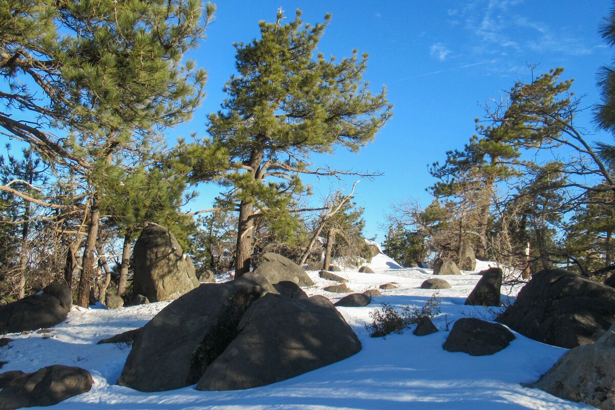 Wooded Hill