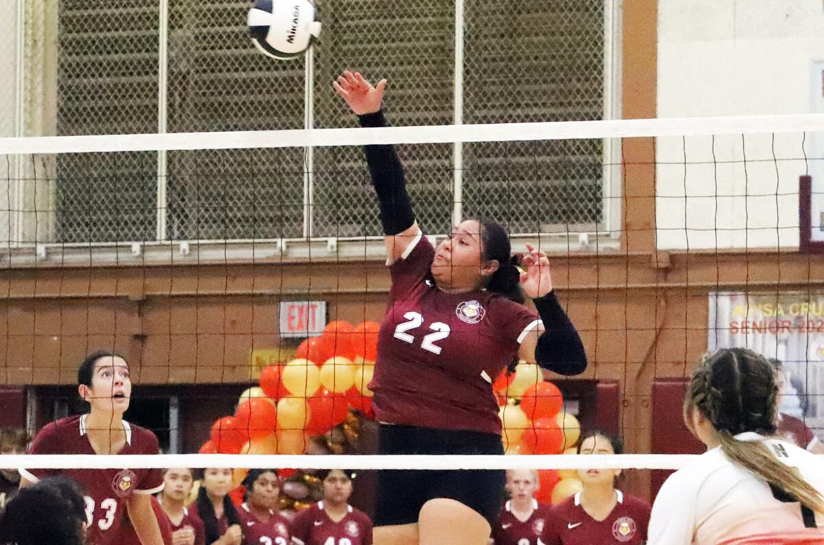 Ocean View's Lizbeth Espinoza (22) touches the ball over the net against Westminster in a Golden West League match.