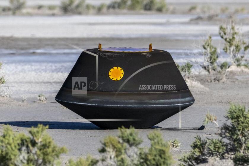 ARCHIVO – En esta imagen, proporcionada por la NASA, la cápsula de transporte de muestras de la misión Osiris-Rex de la NASA yace en el suelo tras aterrizar en el desierto, en la Pista de Pruebas y Entrenamiento de Utah del Departamento de Defensa, el 24 de septiembre de 2023. (Keegan Barber/NASA vía AP, Archivo)