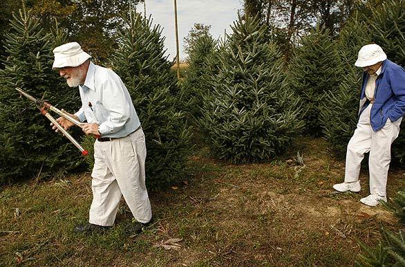 Eric and Gloria Sundback have just turned out a grand champion Christmas tree for a record fourth time -- which means their West Virginia tree farm will again provide a two-story fir for the Blue Room of the White House this Christmas.